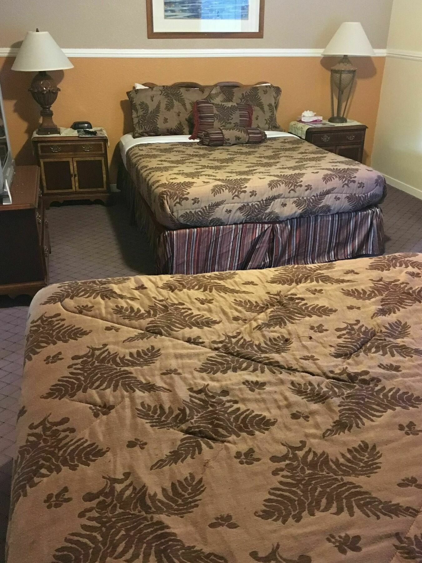 Econo Lodge Inn & Suites Heavenly Village Area South Lake Tahoe Εξωτερικό φωτογραφία